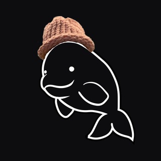 Beluga Official