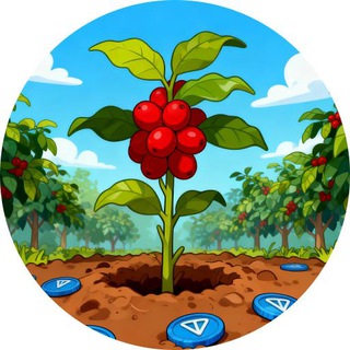 Coffee Garden
