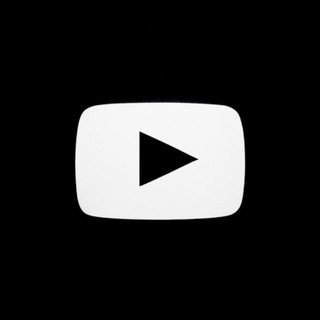 Downloader TikTok Instagram YouTube