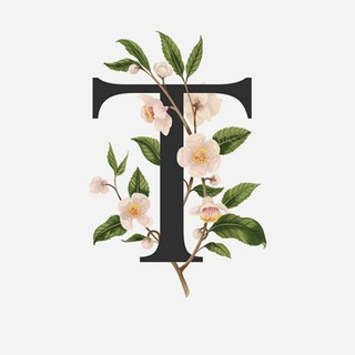 Beautiful Fonts