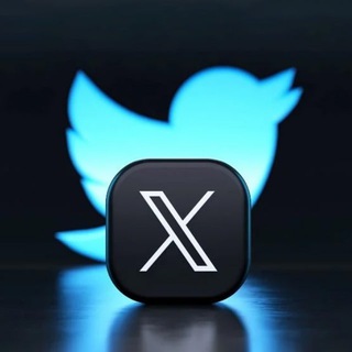 Twitter Vid