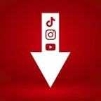 Pinterest & Instagram Saver