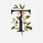 Beautiful Fonts