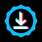TikTok, Instagram Downloader