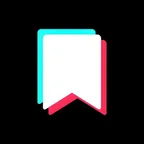 TikTok Save Off