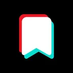 TikTok & Pinterest Downloader