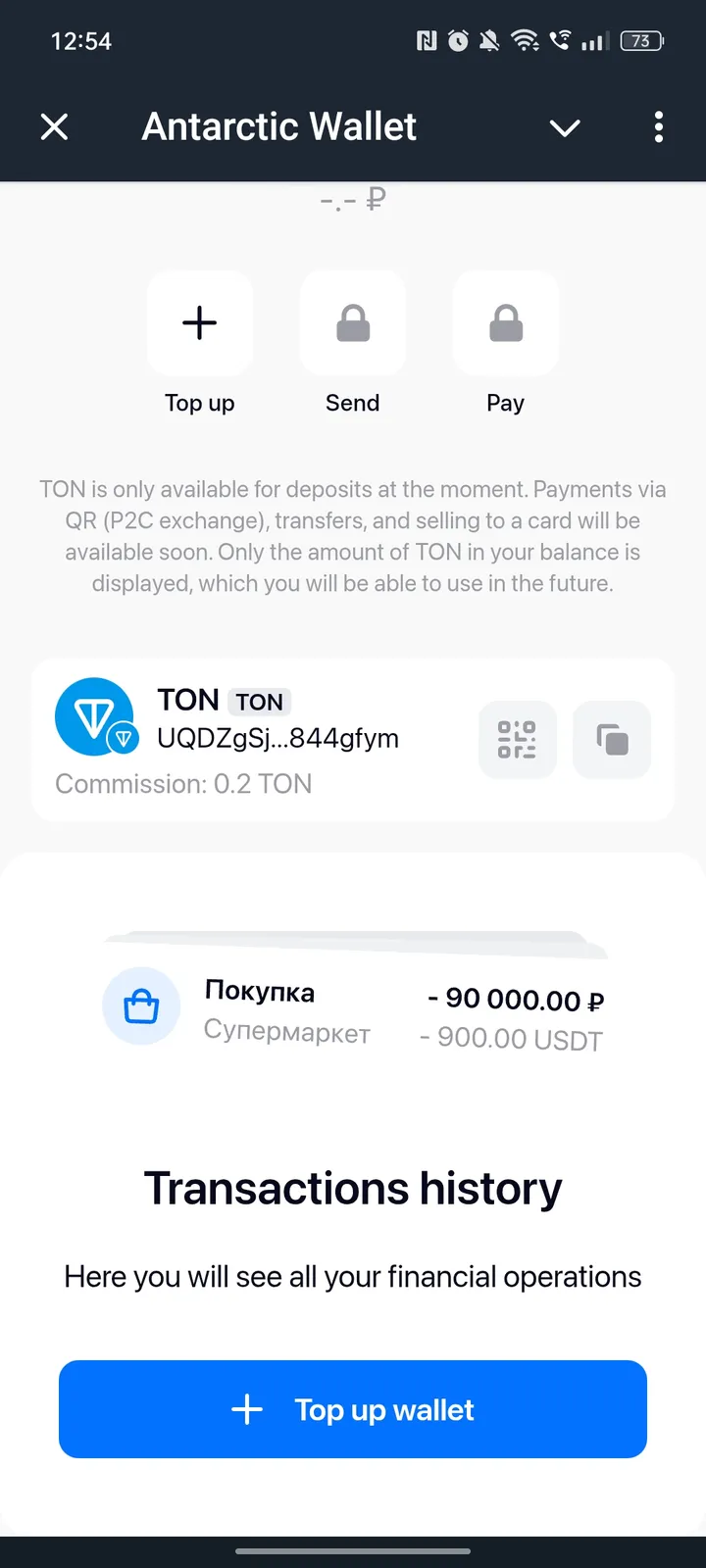 Antarctic Wallet screenshot 4