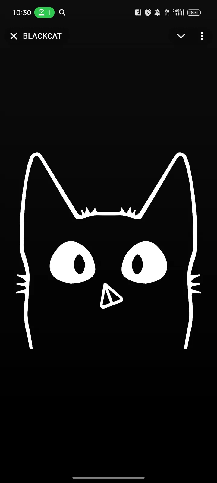 BLACKCAT screenshot 4