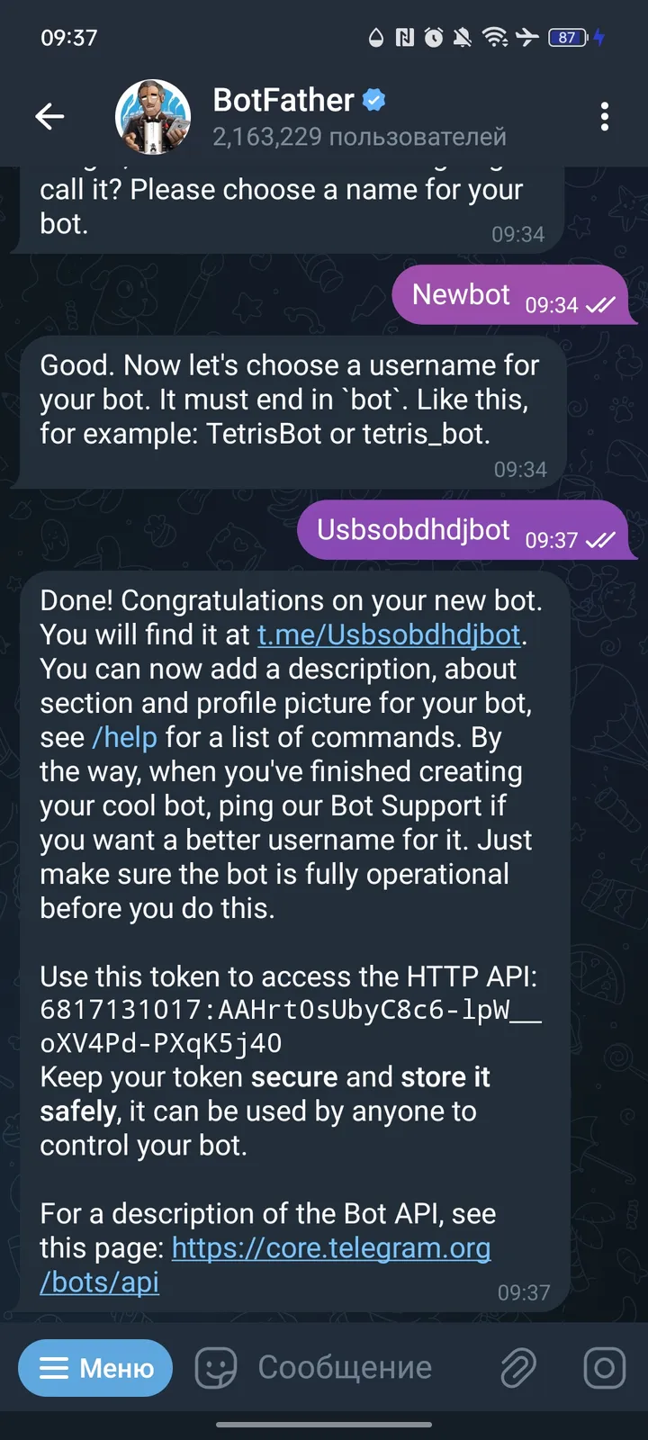 BotFather screenshot 4