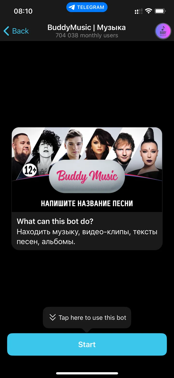 How BuddyMusic looks