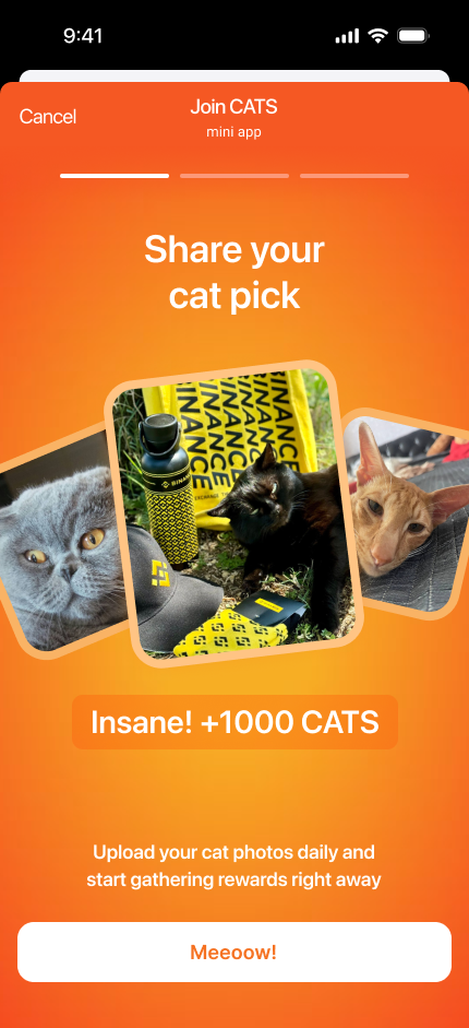 Cats Gang screenshot 4