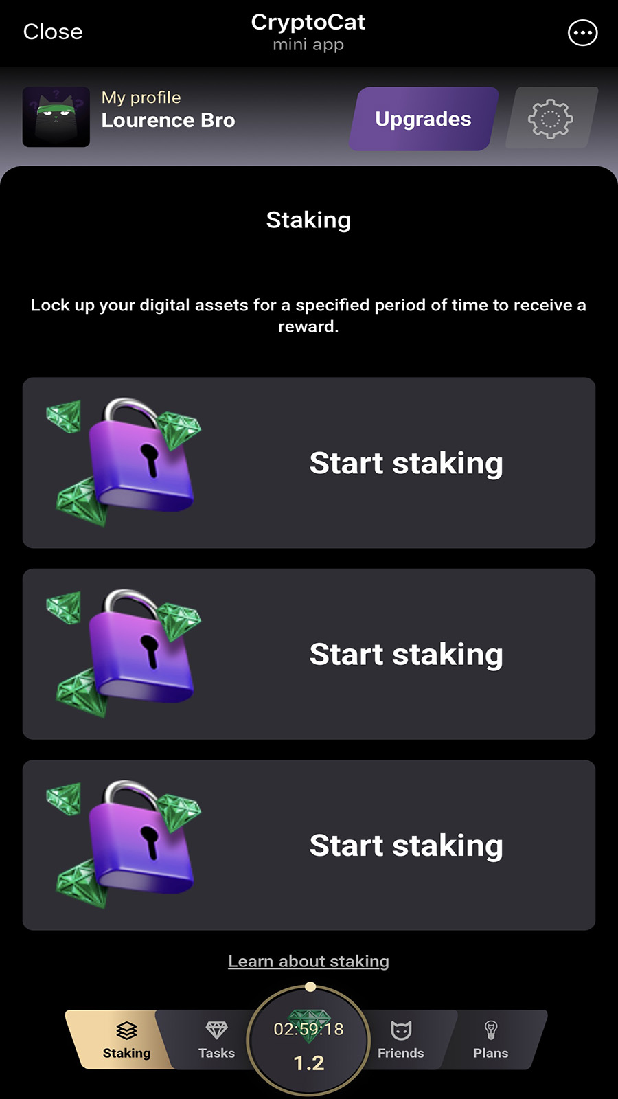 How Crypto Cat Game looks