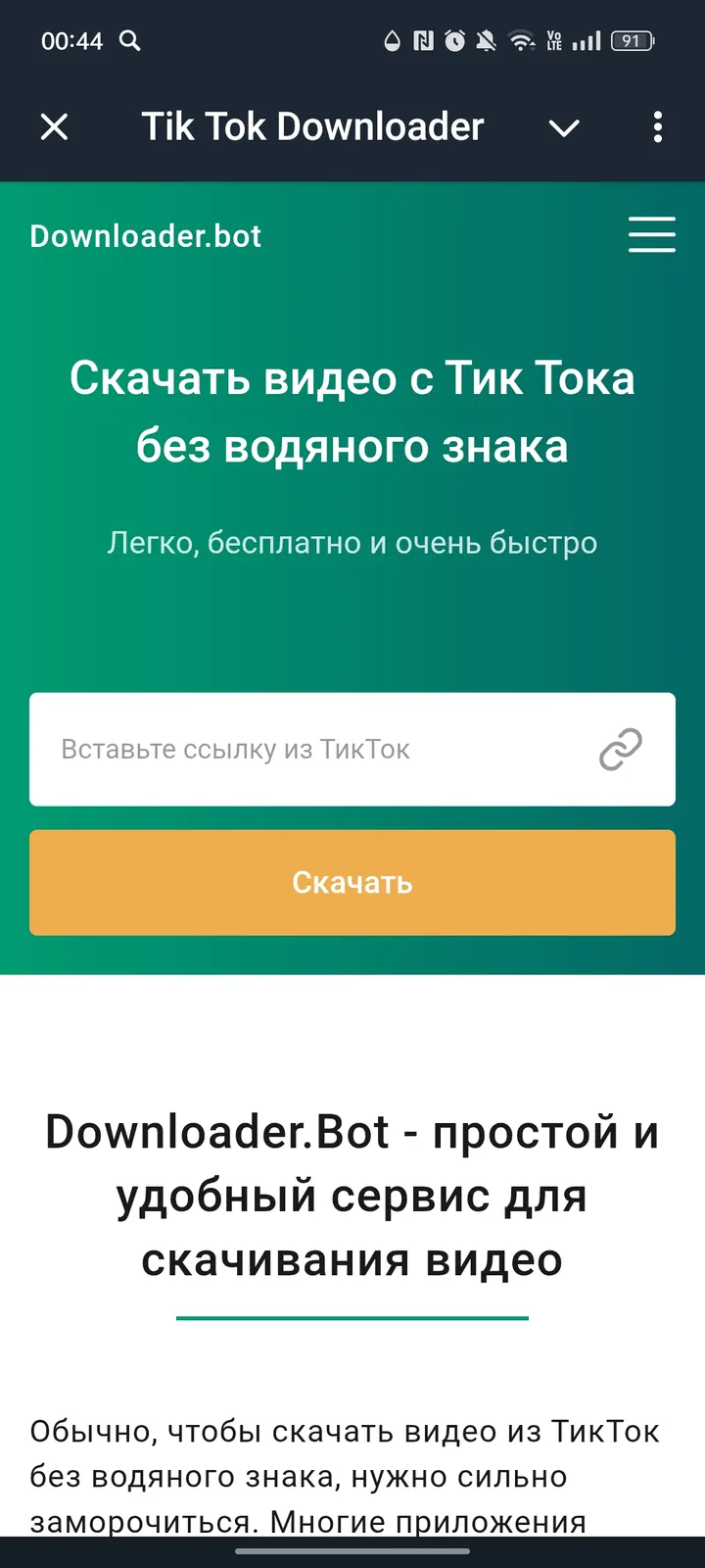 How Tik Tok Downloader looks