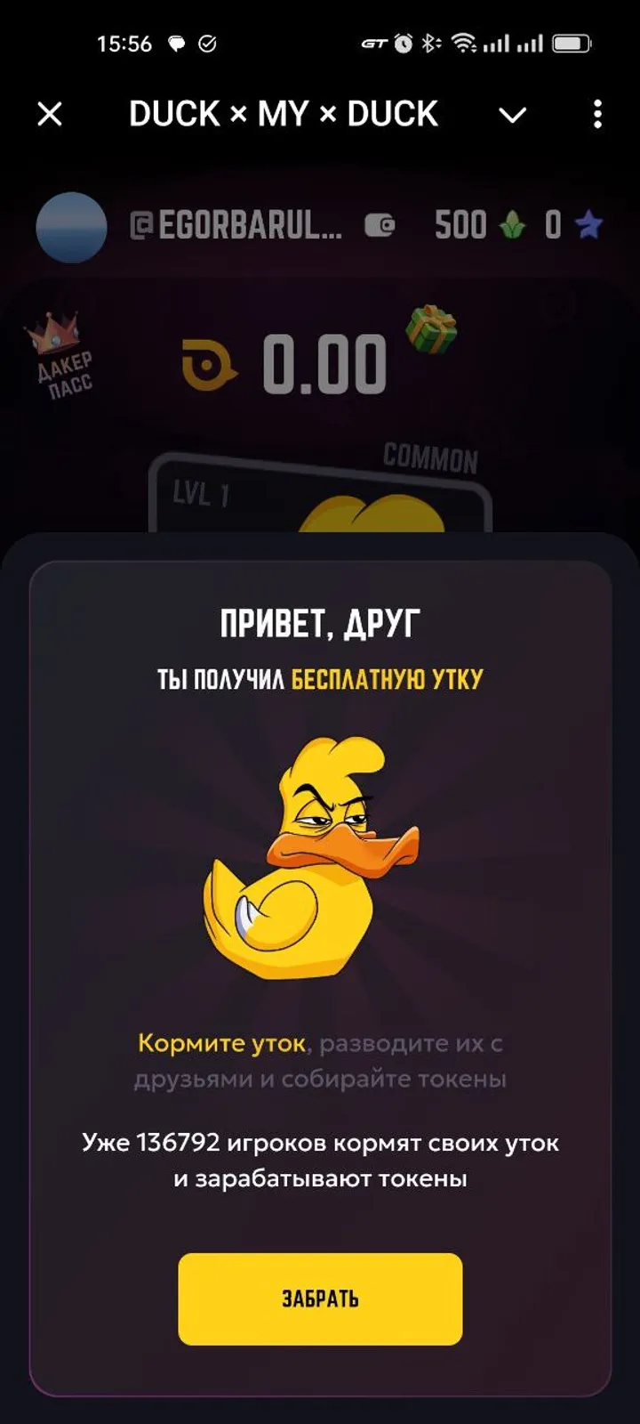How Duck My Duck looks