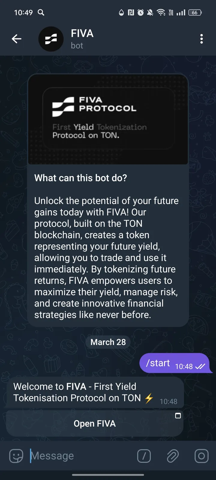 FIVA screenshot 3