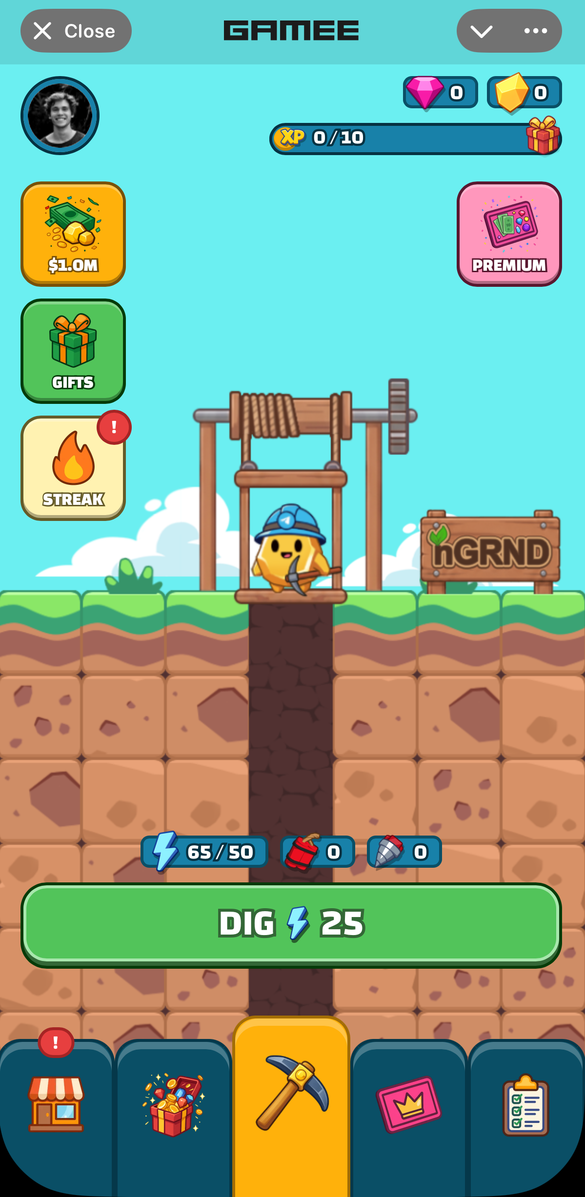 Gold Fest: The Game screenshot 1