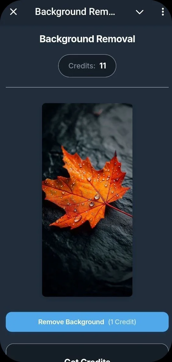 Background Remover AI screenshot 3