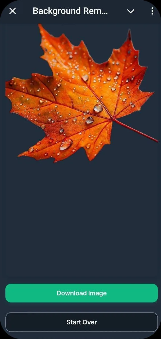 Background Remover AI screenshot 4