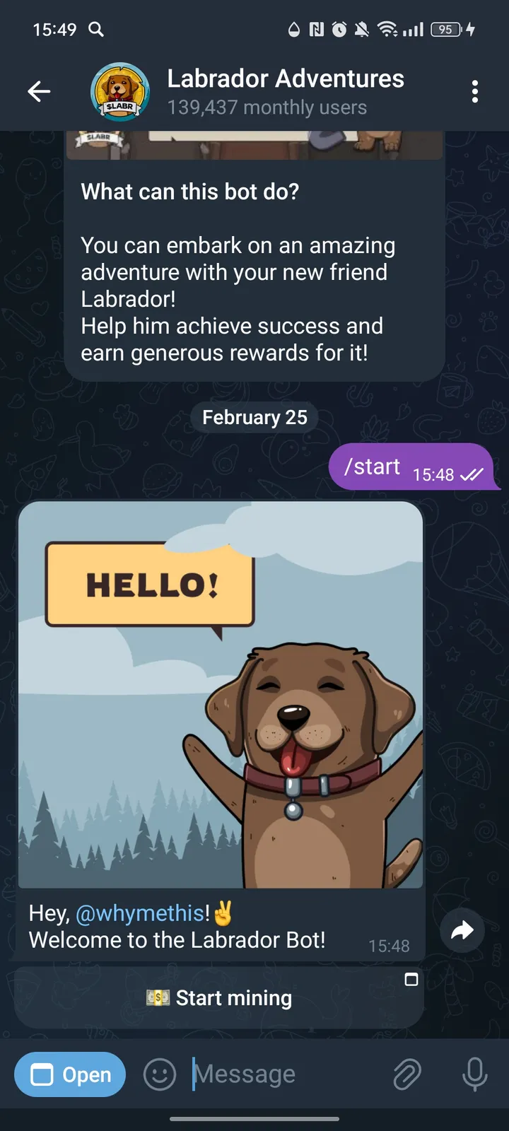 Labrador Adventures screenshot 1