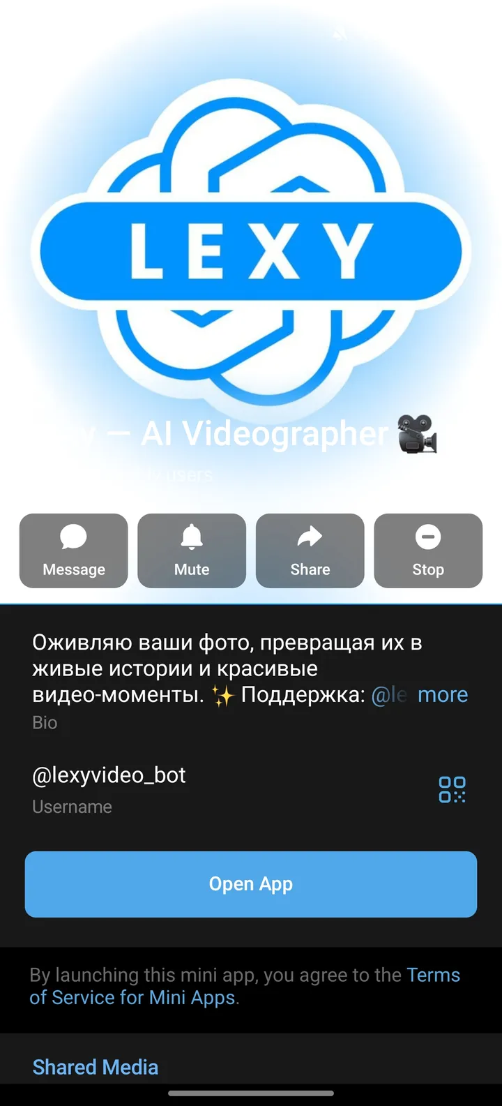 Lexy screenshot 4