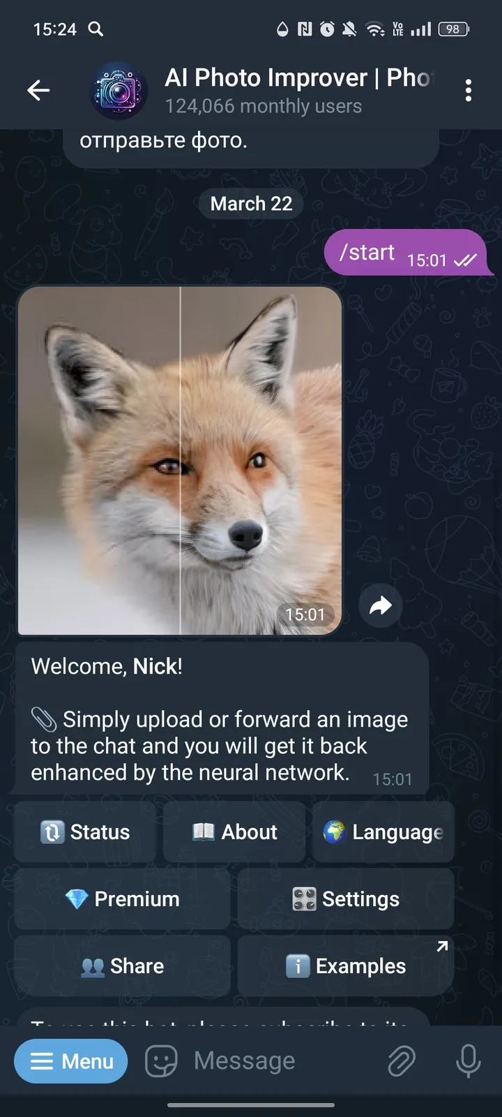PhotoFixerBot screenshot 2