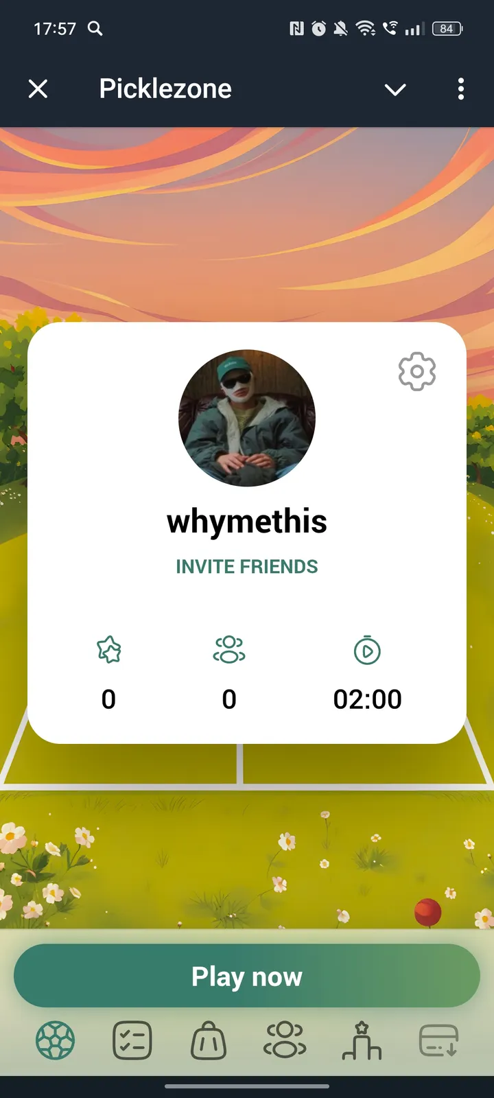 Picklezone screenshot 1