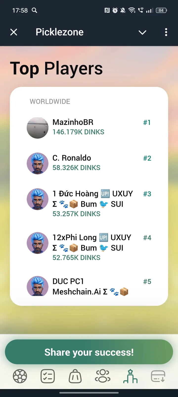 Picklezone screenshot 4