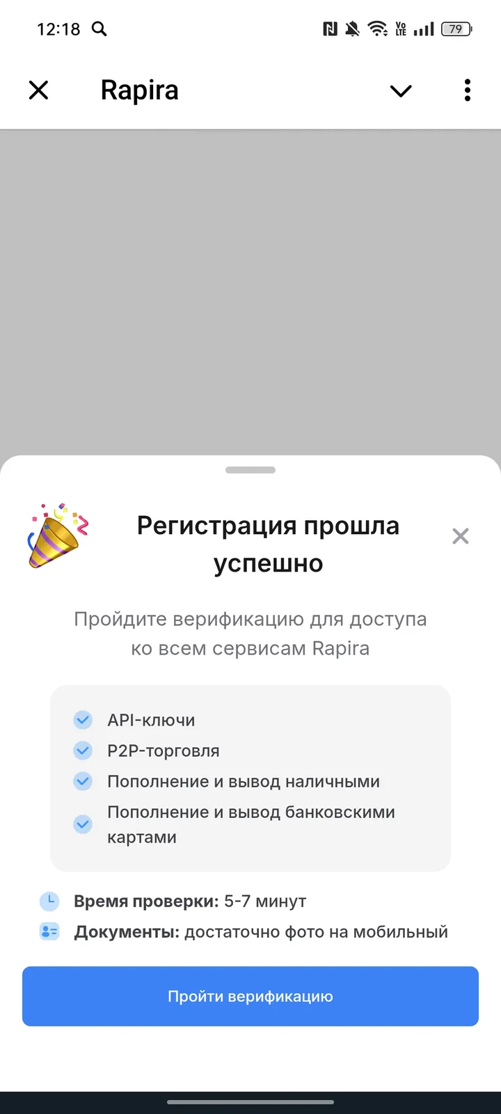 Rapira screenshot 4