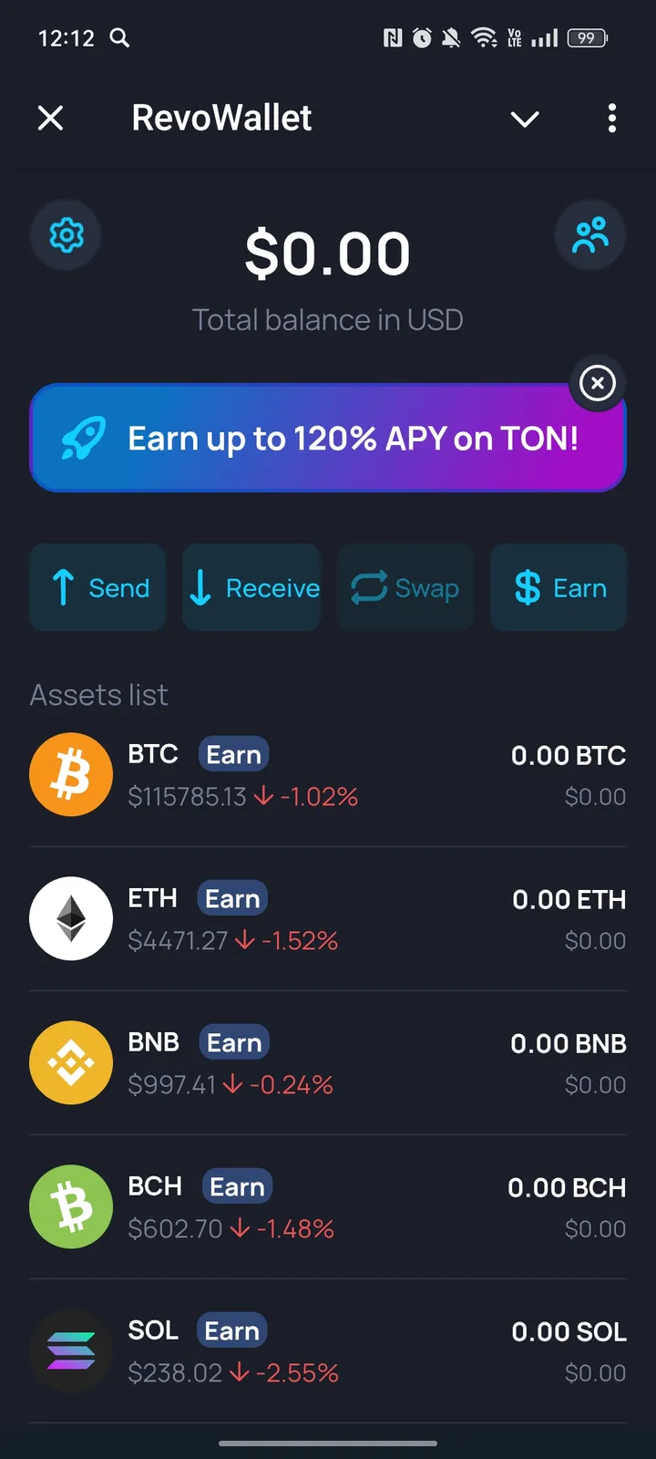 How RevoWallet looks
