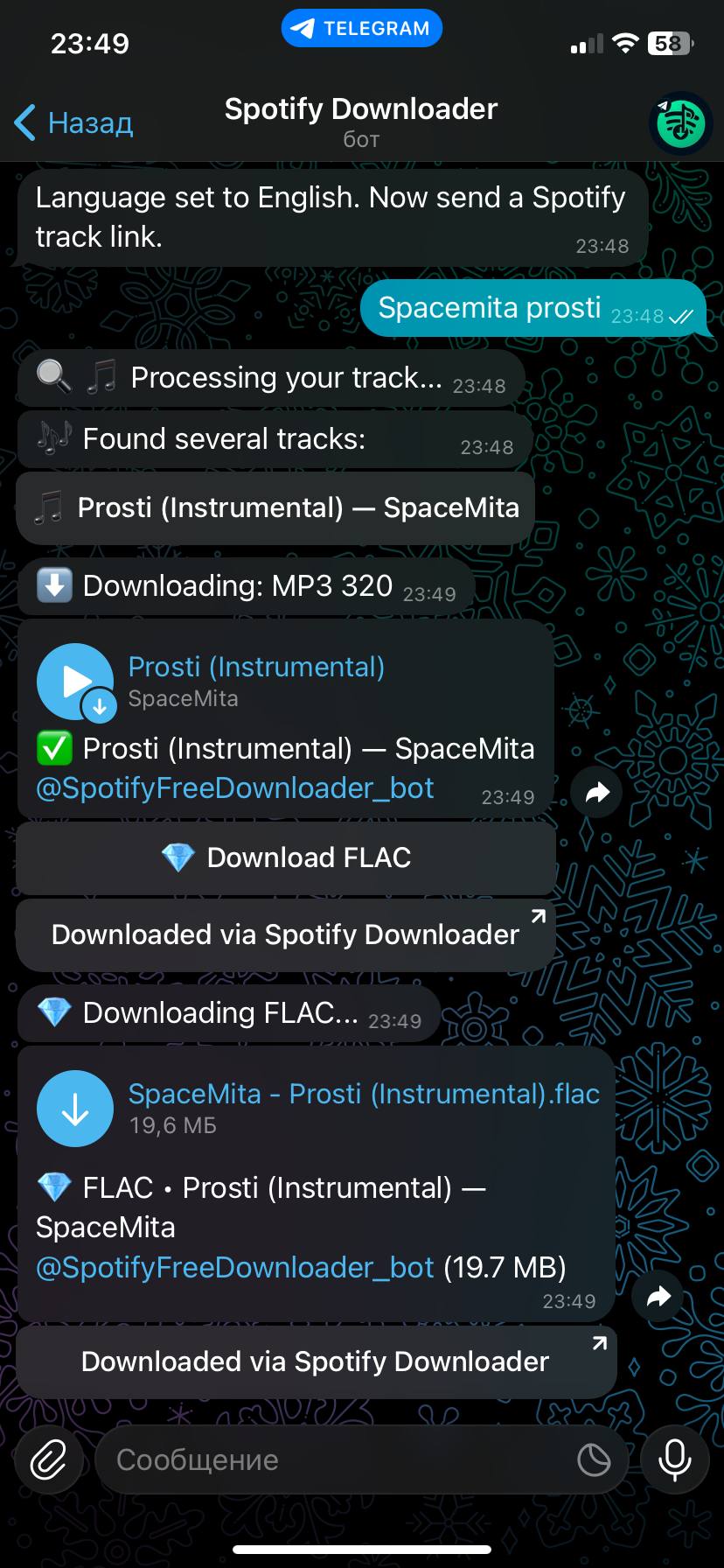 Spotify Downloader screenshot 1