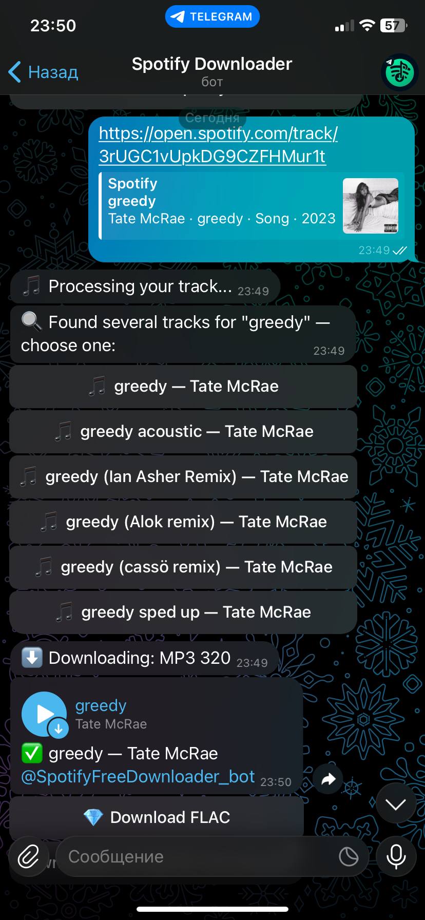 Spotify Downloader screenshot 2