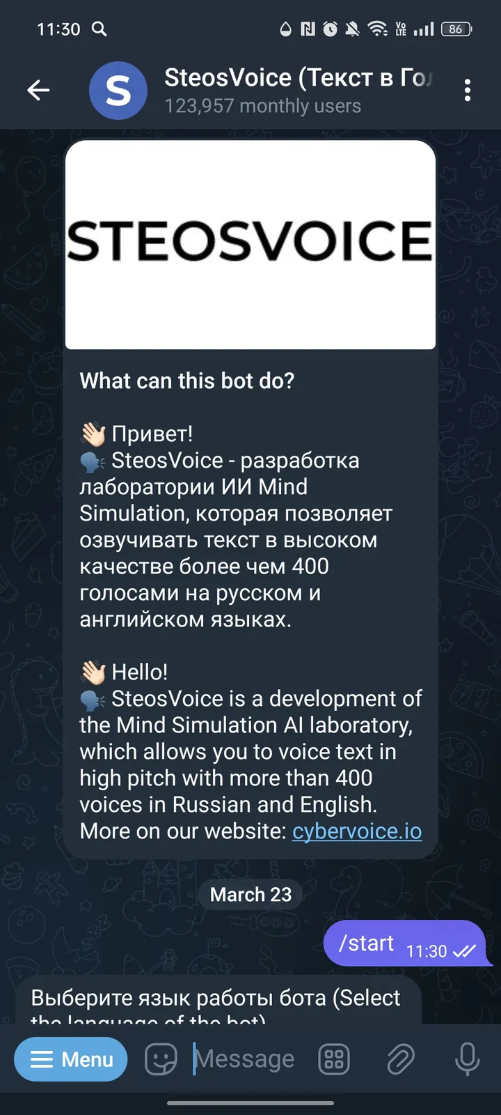 SteosVoice screenshot 1