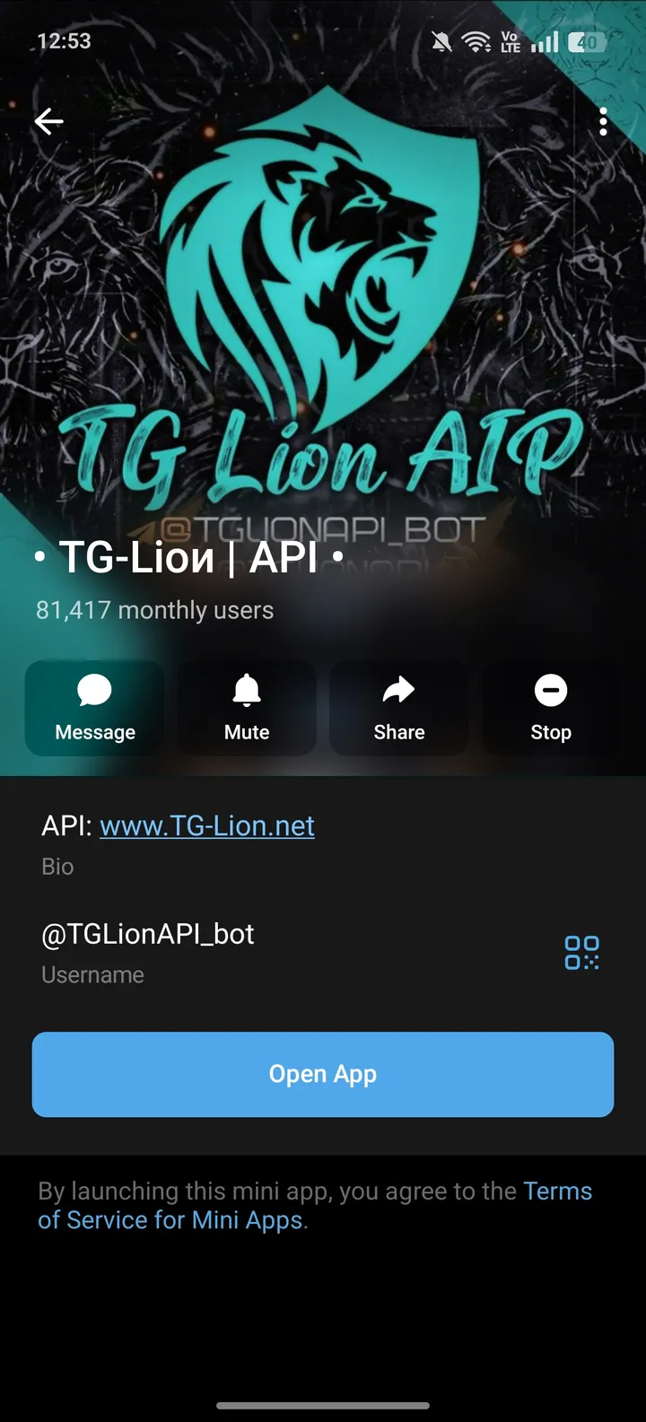 Lion API screenshot 4