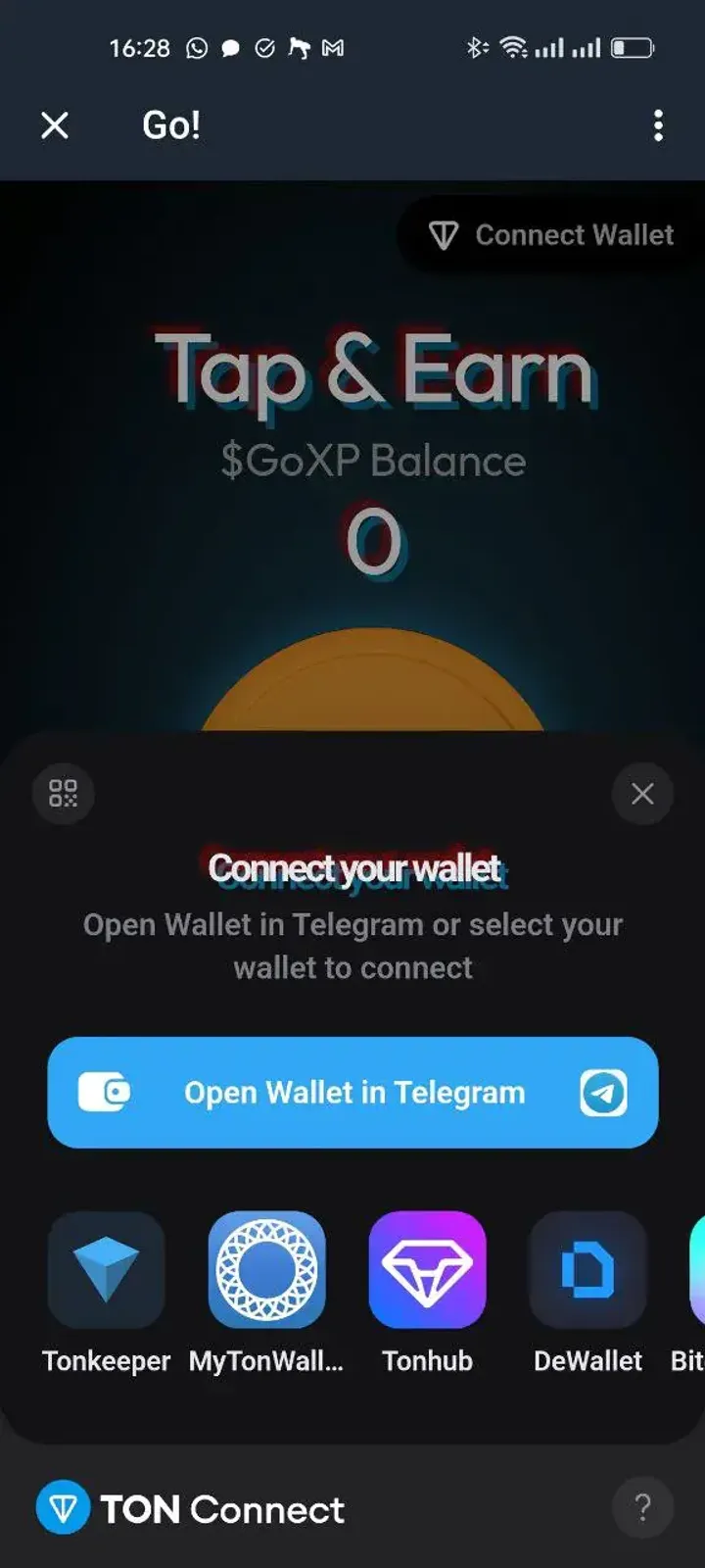 How The Go Project looks