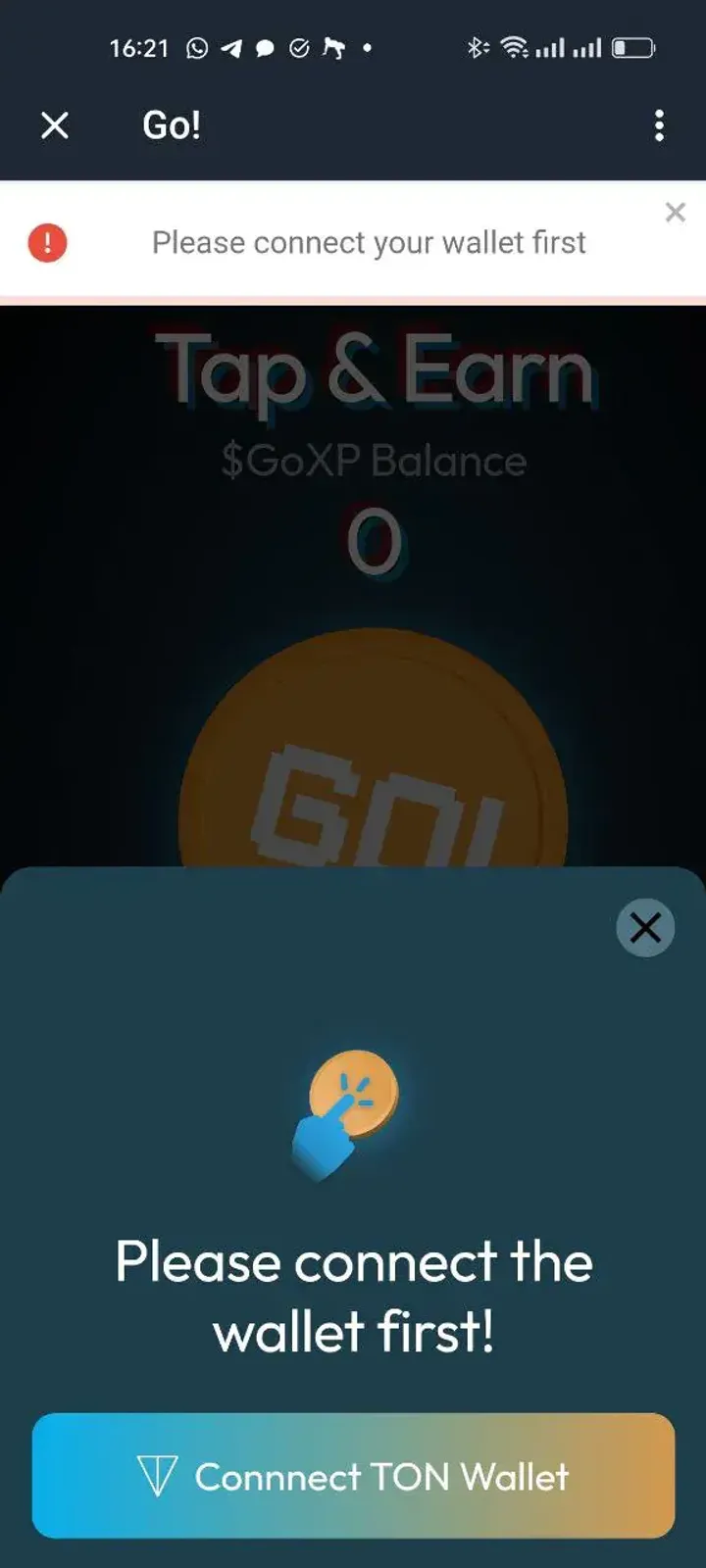 How The Go Project looks