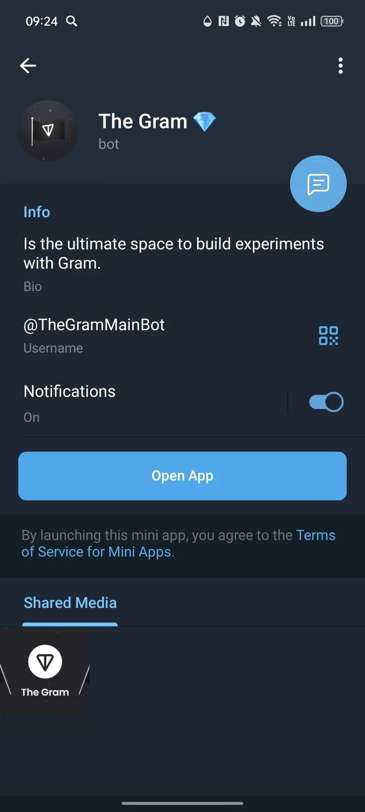 The Gram screenshot 1