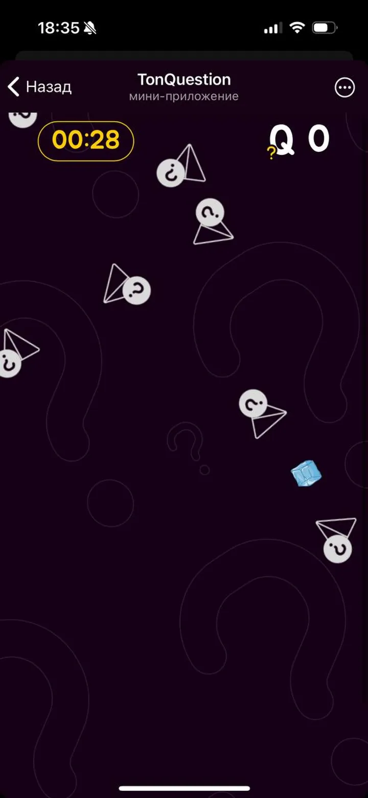 TonQuestion screenshot 5