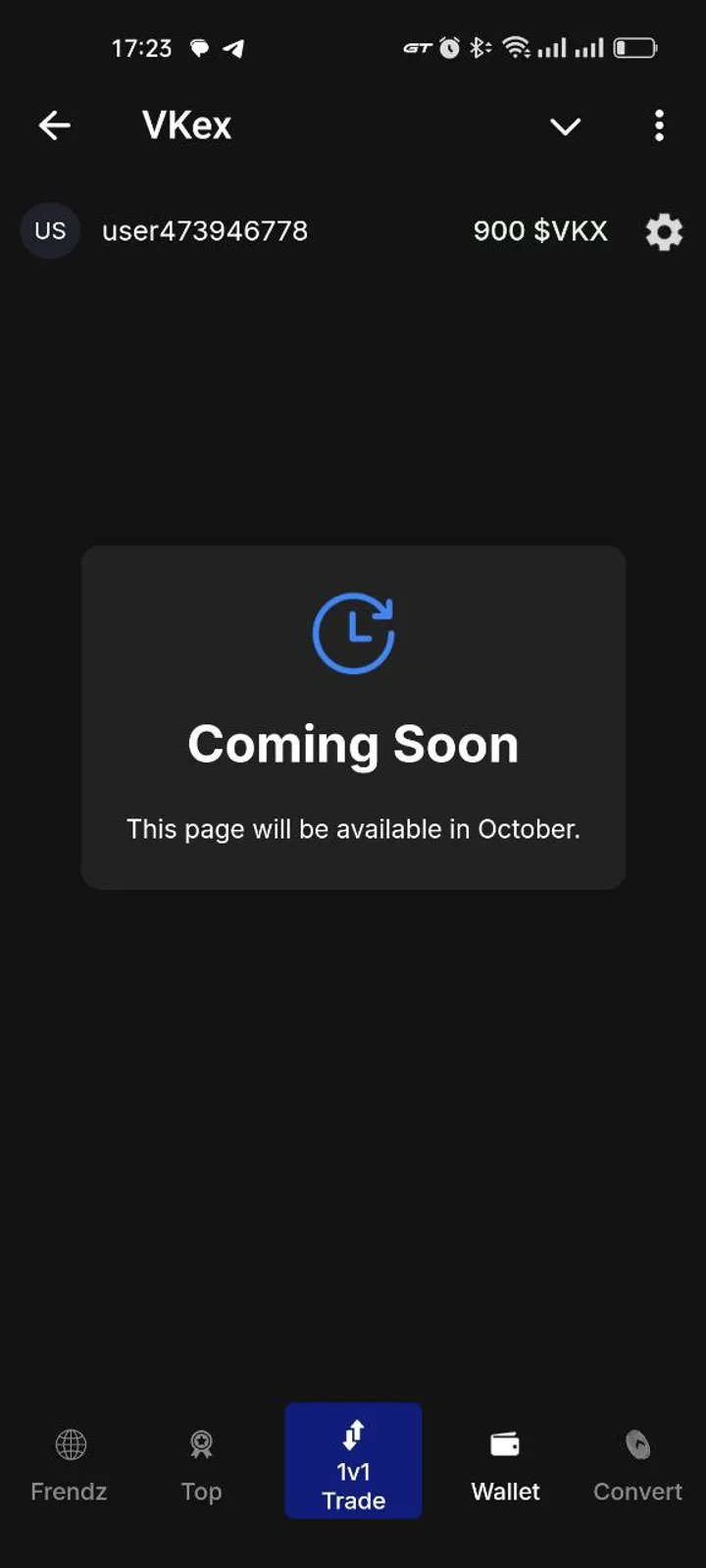 VKex screenshot 3