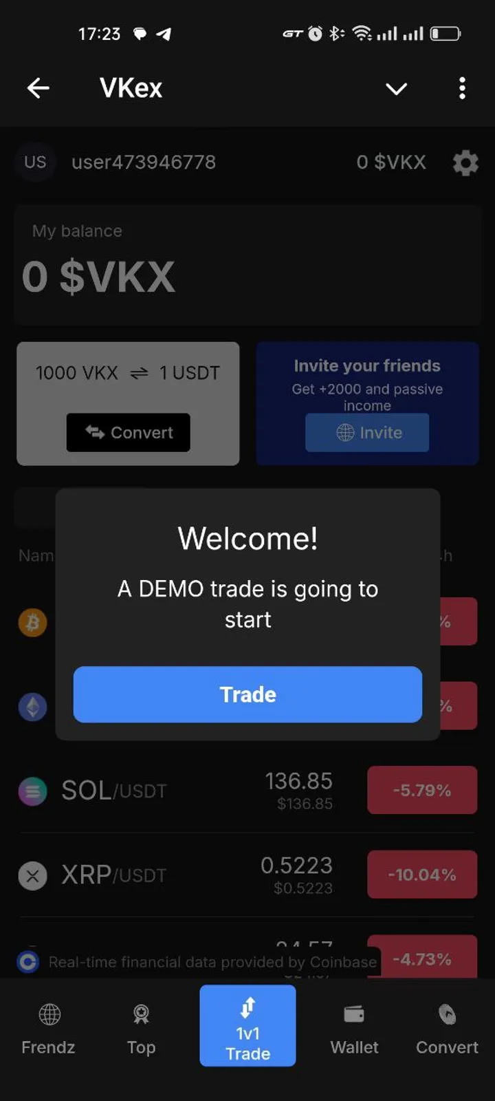 VKex screenshot 5