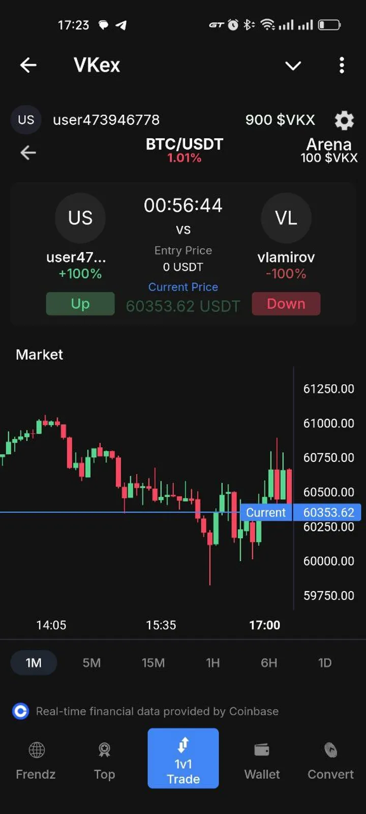 VKex screenshot 4